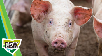 NSW Farmers African Swine Fever Workshop