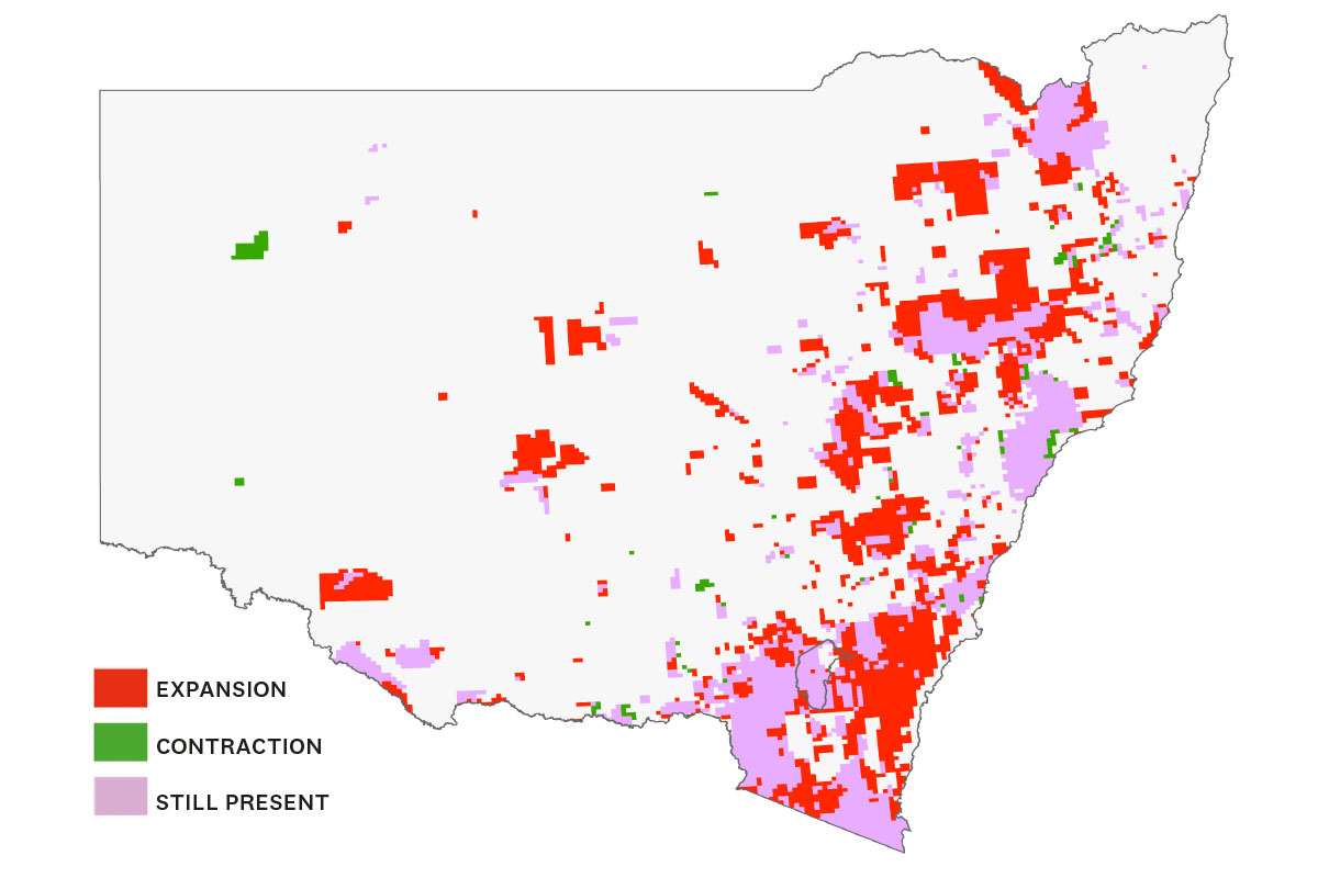 NSW map of deer populations