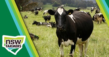 NSW Farmers' Dairy Industry Forum - Bega