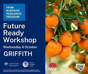 Future Ready Workshop - Griffith