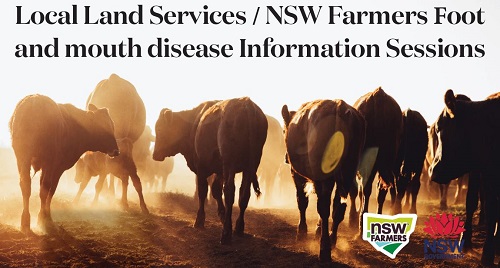 LLS/NSWF Foot & Mouth Disease Info Session – Wagga Wagga