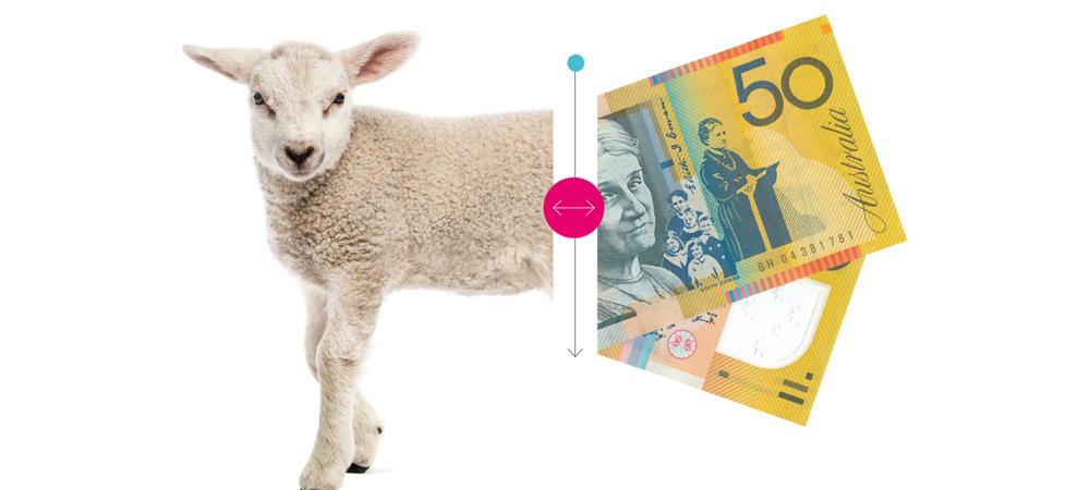 From lamb to mutton: the $50 difference