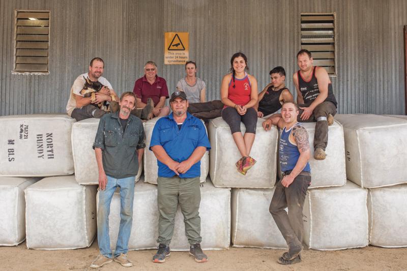 Wool prices are booming, so why is there a shortage of shearers?